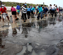 En la playa de Suape, de la ciudad de San Agostinho, Pernambuco, voluntarios participan en la recolección del petróleo. (Fuente: EFE) (Fuente: EFE) (Fuente: EFE)