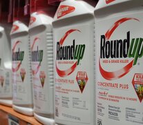 Roundup es la marca comercial del glifosato. (Fuente: AFP) (Fuente: AFP) (Fuente: AFP)
