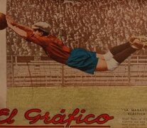 Angel Bosio, &amp;quot;La Maravilla elástica&amp;quot;: subcampeón mundial en 1930, plata olímpica en 1928, y campeón sudamericano en 1927 y 1929. (Fuente: Archivo El Gráfico) (Fuente: Archivo El Gráfico) (Fuente: Archivo El Gráfico)