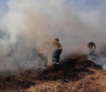 Los incendios produjeron grandes columnas de humo y perjuicios a la atmósfera, la fauna ictícola y habitantes de Rosario.