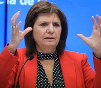 La presidenta del PRO, Patricia Bullrich, está al frente de la campaña nacional de afiliación. (Fuente: NA) (Fuente: NA) (Fuente: NA)