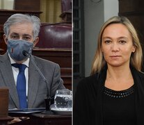 El senador Joaquín Gramajo (PJ) y la auditora general del MPA María Cecilia Vranicich. (Fuente: Prensa Senado/Archivo Rosario/12) (Fuente: Prensa Senado/Archivo Rosario/12) (Fuente: Prensa Senado/Archivo Rosario/12)