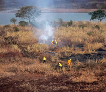 Los incendios tienen a profundizar el desequilibrio ecosistémico. (Fuente: NA) (Fuente: NA) (Fuente: NA)