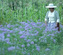 Duraznales, de Ingrid Dominguez Rico (Bolivia), transcurre en Villa Verde, donde sólo quedan mujeres. 