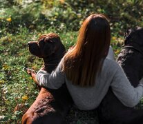 El misterio de la relación entre perros y humanos.