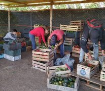 Desde agosto hasta hoy ya fueron armadas 123 propuestas. 30 ya están casi terminadas.