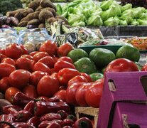 Algunas frutas subieron por encima del 20 por ciento. El tomate redondo avanzó 50 por ciento.  (Fuente: Bernardino Avila) (Fuente: Bernardino Avila) (Fuente: Bernardino Avila)