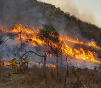 La modificación a la Ley 26.815 de manejo del fuego ahora pasará al Senado. (Fuente: NA) (Fuente: NA) (Fuente: NA)