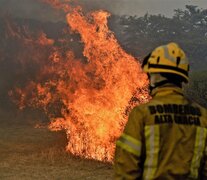 La destrucción de los bosques cordobeses lleva décadas.