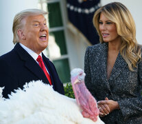 Donald Trump con su esposa Melania y el pavo perdonado por el Día de Gracias (Fuente: AFP) (Fuente: AFP) (Fuente: AFP)