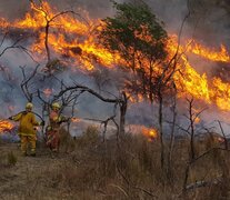 Córdoba vuelve a tener incendios forestales. (Fuente: NA) (Fuente: NA) (Fuente: NA)