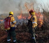 &amp;quot;Desde principios de esta semana se observan columnas de humo provenientes de las islas frente a Rosario&amp;quot;, advirtió la organización ecologista. (Fuente: NA) (Fuente: NA) (Fuente: NA)