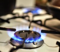 Las tarifas del gas permanecen congeladas desde el primer semestre de 2019. (Fuente: Lucía Grossman) (Fuente: Lucía Grossman) (Fuente: Lucía Grossman)