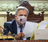 El presdente de la Cámara de Diputados Pablo Farías.