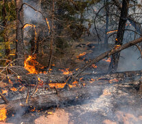 Oregón sufre el mayor incendio de su historia (Fuente: AFP) (Fuente: AFP) (Fuente: AFP)