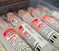 En los próximos días llegarán al país 1.000 litros de la sustancia activa de la vacuna Sputnik V para terminar 1.700.000 dosis 2 en el Laboratorio Richmond. (Fuente: AFP) (Fuente: AFP) (Fuente: AFP)