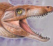 De no más de 70 centímetros, fue contemporáneo de los dinosaurios.