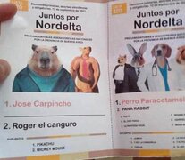 En Bahía Blanca, también aparecieron falsas boletas con un carpincho como precandidato.