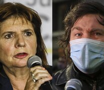 Bullrich y Milei, ¿futuros aliados?