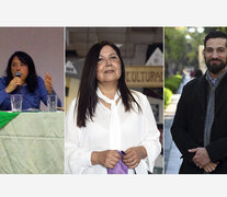 Gerez, Bonfanti y Castillo, los candidates a presidir el Colegio de Psicólogos.