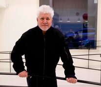 Pedro Almodóvar desembarca con 12 de sus 22 largos en Netflix.  (Fuente: EFE) (Fuente: EFE) (Fuente: EFE)