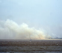 Incendios intencionales frente a la costa rosarina. (Fuente: Andres Macera) (Fuente: Andres Macera) (Fuente: Andres Macera)