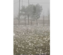 Piedras de hielo en un jardín de Roldán. 