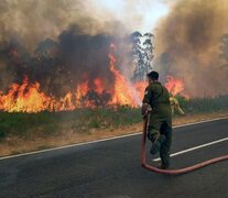 Los incendios en Corrientes consumieron un millón de hectáreas. (Fuente: NA) (Fuente: NA) (Fuente: NA)