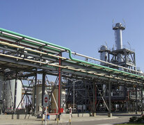 Proponen aumentar la producción de biodiesel para sustituir importaciones.