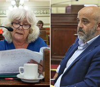 Los diputados Palo Oliver y Matilde Bruera piden derogar la ley.