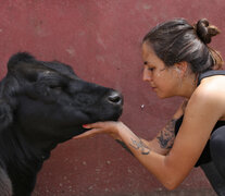 Malena con Save, una vaca rescatada del matadero de Morón, en Santuario Equidad.  (Fuente: Martina Zamudio) (Fuente: Martina Zamudio) (Fuente: Martina Zamudio)