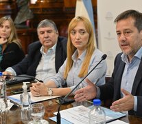 Los senadores Recalde, Fernández Sagasti, Mayans y Di Tullio presentaron el proyecto.