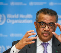 Tedros Adhanom Ghebreysus, titular de la OMS.  (Fuente: EFE) (Fuente: EFE) (Fuente: EFE)