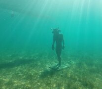 Las imágenes y videos fueron capturados por un residente neuquino en el lago artificial Mari Menuco. (LM Neuquén)