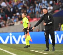 Lionel Scaloni sigue recibiendo elogios (Fuente: EFE) (Fuente: EFE) (Fuente: EFE)