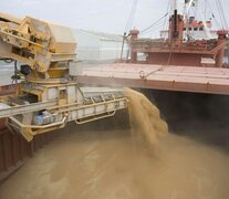 Grandes exportadoras de cereales asoman como algunas de las empresas que deberán tributar. (Fuente: AFP) (Fuente: AFP) (Fuente: AFP)