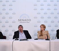 La Comisión de Asuntos Constitucionales abrió el debate, que seguirá con la exposición de expertos.