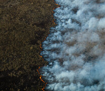 La imágen del avance del fuego en los humedales de Entre Ríos es la tapa del anuario de ARGRA. (Fuente: Tomás Cuesta) (Fuente: Tomás Cuesta) (Fuente: Tomás Cuesta)