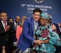 La directora de la OMC, Ngozi Okonjo-Iweala, saluda tras el acuerdo al ministro de Comercio indio, Piyush Goyal. (Fuente: AFP) (Fuente: AFP) (Fuente: AFP)