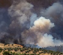 Incendio forestal en la finca Zurraquin dentro del término municipal de Toledo capital. (Fuente: EFE) (Fuente: EFE) (Fuente: EFE)