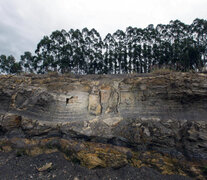 El bosque fosilizado en Ortigueira (Fuente: AFP) (Fuente: AFP) (Fuente: AFP)