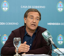 Rodolfo Suarez, actual gobernador de Mendoza. (Fuente: Télam) (Fuente: Télam) (Fuente: Télam)
