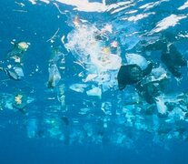 Un camión de basura por minuto es arrojado a los océanos en todo el mundo. (Fuente: AFP) (Fuente: AFP) (Fuente: AFP)