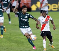 Palmeiras-River, dos de los equipos más poderosos del continente (Fuente: Fotobaires) (Fuente: Fotobaires) (Fuente: Fotobaires)