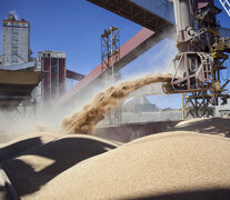 Las cerealeras constituyen un factor de presión sobre la política económica. (Fuente: NA) (Fuente: NA) (Fuente: NA)