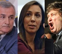 Gerardo Morales, María Eugenia Vidal y Javier Milei, algunos de los referentes opositores que se refirieron al cambio de ministro en Economía.