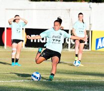 El plantel argentino jugará en Armenia la fase de grupos.