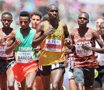 El ugandés Joshua Cheptegei durante el Mundial de Atletismo (Fuente: AFP) (Fuente: AFP) (Fuente: AFP)