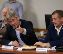 El presidente de la Sociedad Rural Argentina (SRA), Nicolás Pino, indicó que entiende que “el ministro seguramente ha conversado con las empresas exportadoras y están previendo algo en particular”. (Fuente: NA) (Fuente: NA) (Fuente: NA)