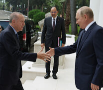 Erdogan y Putin se saludan este viernes en Sotchi, en su segundo encuentro en un mes.  (Fuente: AFP) (Fuente: AFP) (Fuente: AFP)